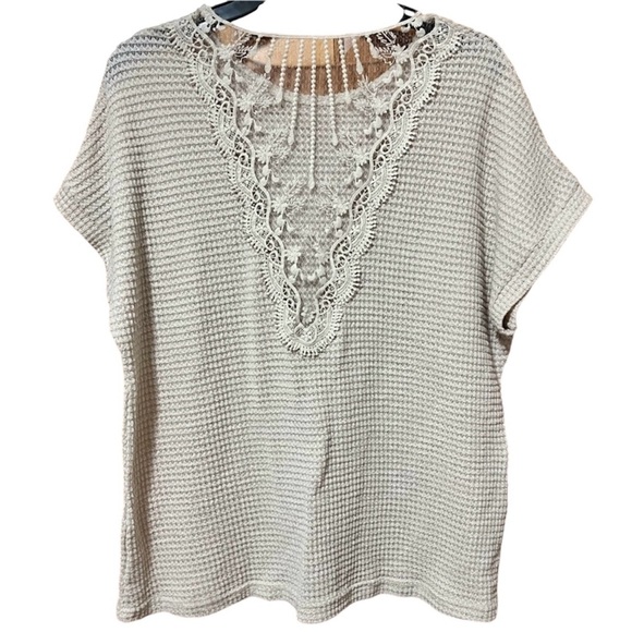 Short Sleeve Textured Lace Back Crewneck Knit Sweater Size XL - Picture 2 of 6